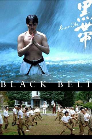 Black Belt streaming